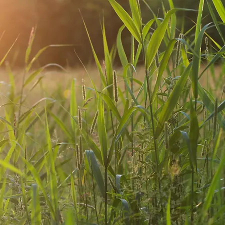 Heart Of Nature - Luksus Glamping &