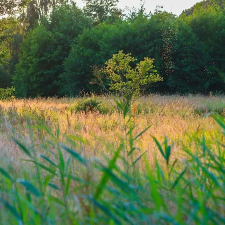 Camping Heart Of Nature - Luksus Glamping & *